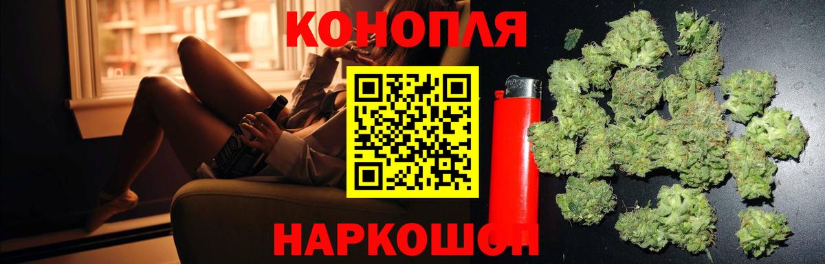 Канабис тримм  Вход с VPN  Осинники  Канабис сатива  МАРИХУАНА конопля 